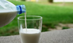Выдача молока и лечебно-профилактического питания при выполнении работ во вредных условиях труда